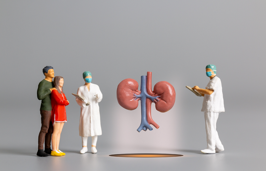 Understanding the Causes and Treatment of Kidney Disease