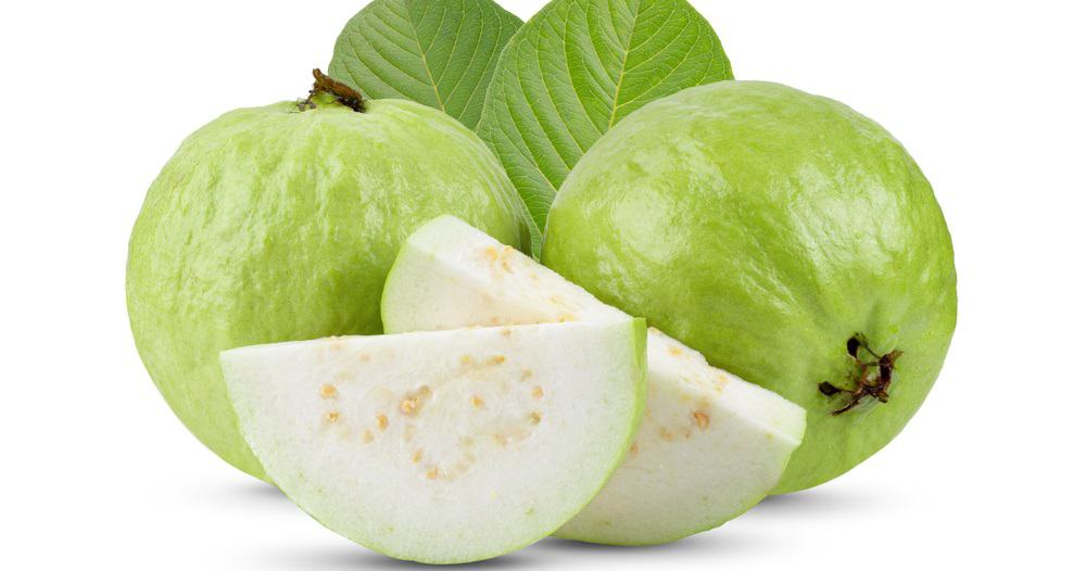 Fruit “GUAVA” Can be Beneficial for Your Health