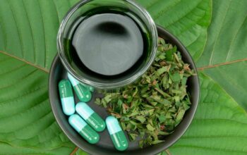 Purchase Kratom from Reputable Suppliers